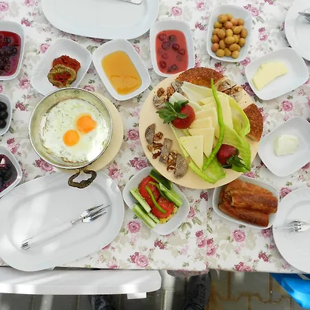 Ela Alaçatı